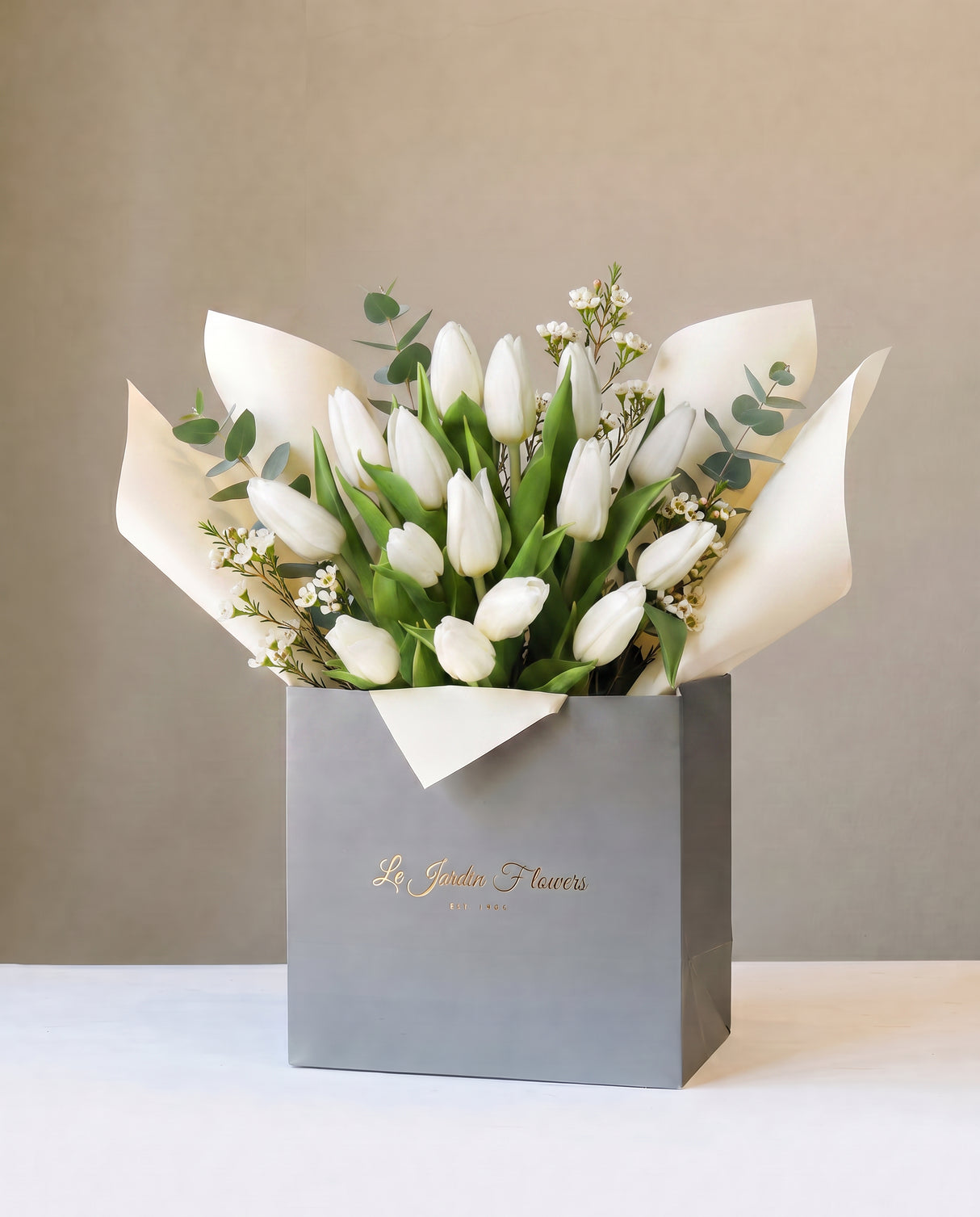 The Beauty of Tulipa