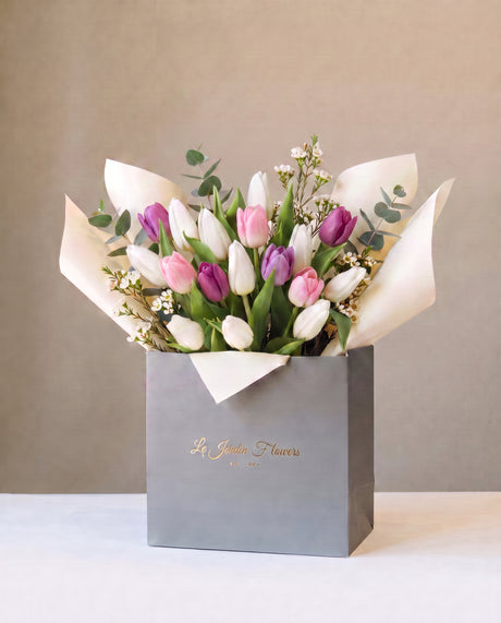 The Beauty of Tulipa