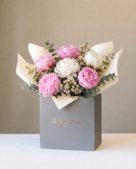 Peony Cotton Candy