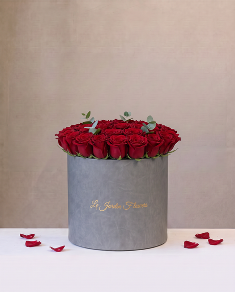 Elegance of Roses