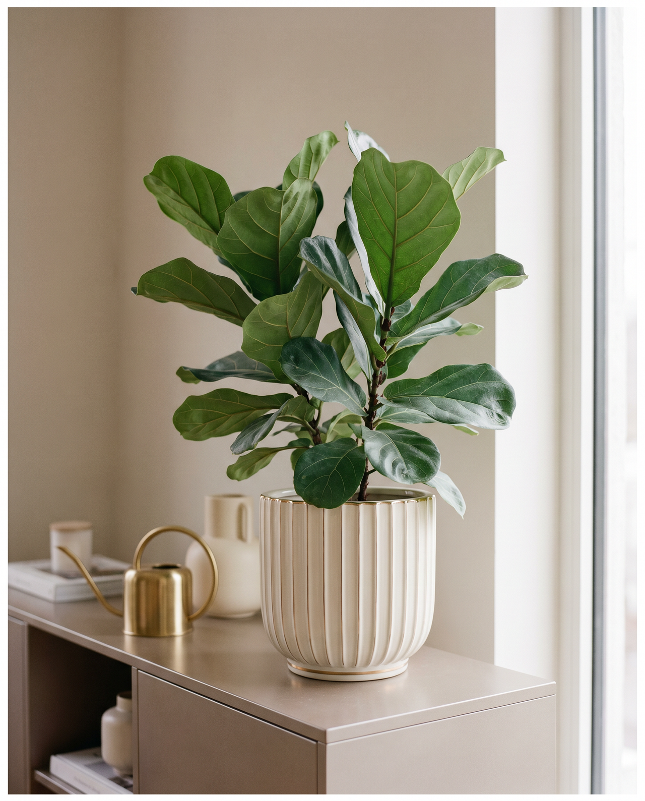 Home plant