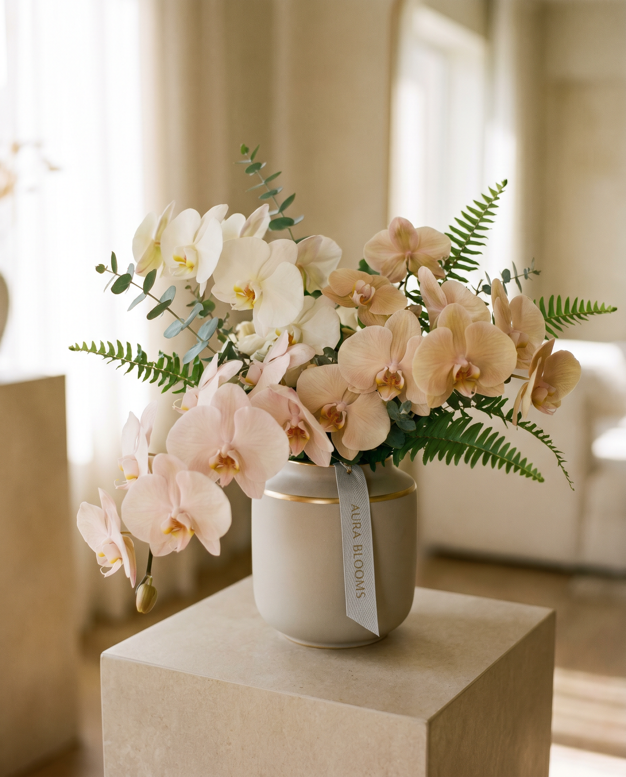 Orchids