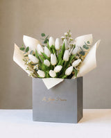 The Beauty of Tulipa