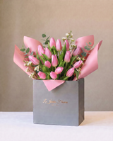 The Beauty of Tulipa