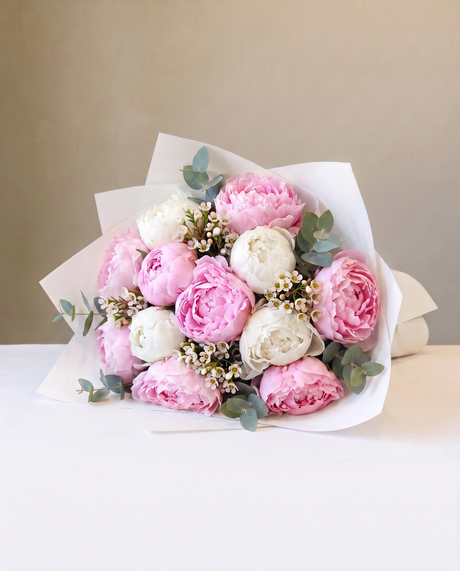 Peony Cotton Candy