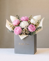 Peony Cotton Candy