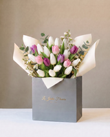 The Beauty of Tulipa