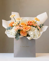 Coco Peaches and Cream