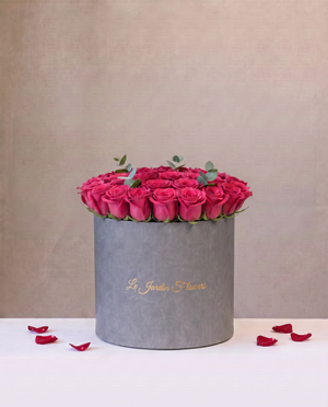 Elegance of Roses