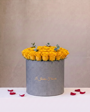 Elegance of Roses