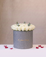 Elegance of Roses