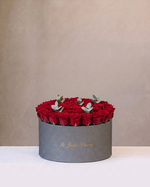 Elegance of Roses